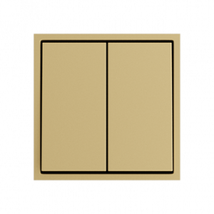 Выключатель двухклавишный звонкового типа