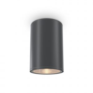 Потолочный светильник Бар / Bar 3000К 12Вт IP 65 Уличный потолочный светильник Outdoor O306CL-L12GF