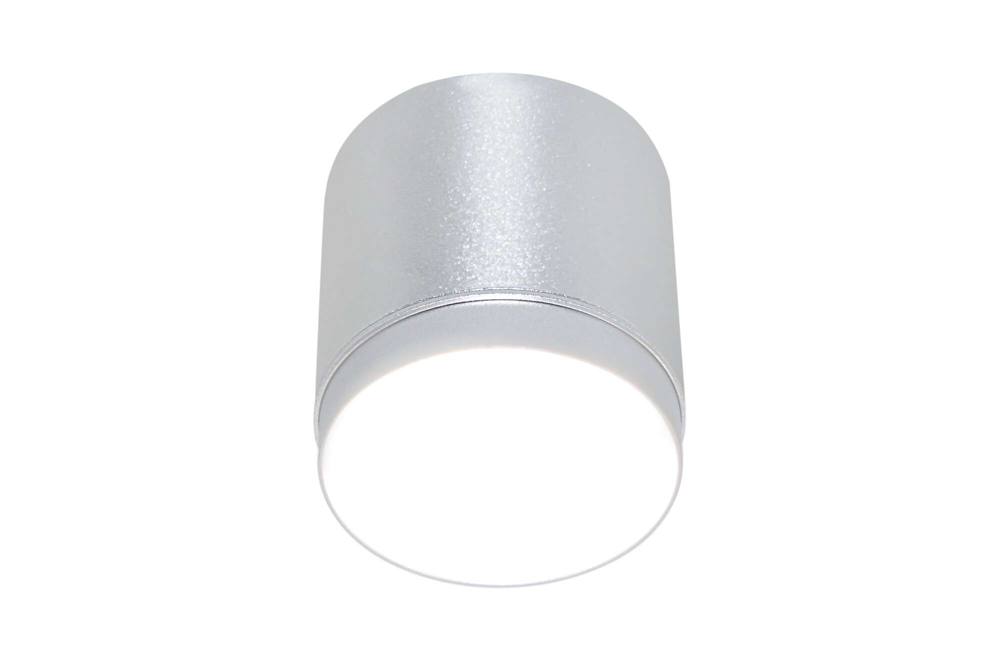 Потолочный светильник Полярный / Polar 1*GX53 12 Вт Потолочный светильник Technical C088CL-GX53-S