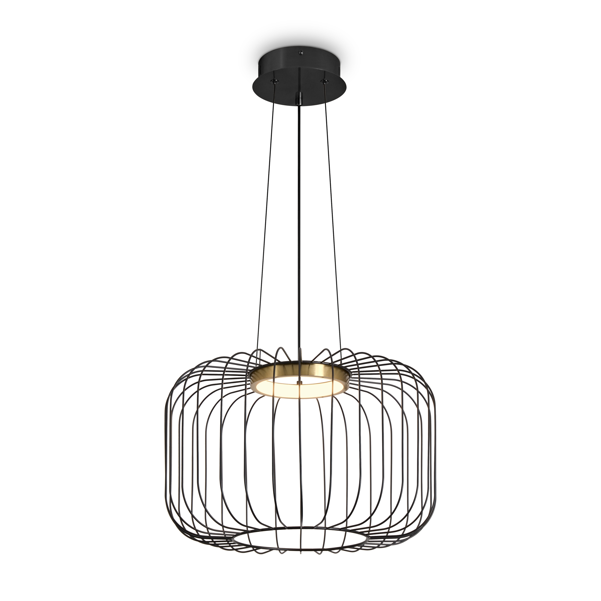 Подвесной светильник Цитрус / Citrus Подвесной светильник Freya FR5398PL-L8B