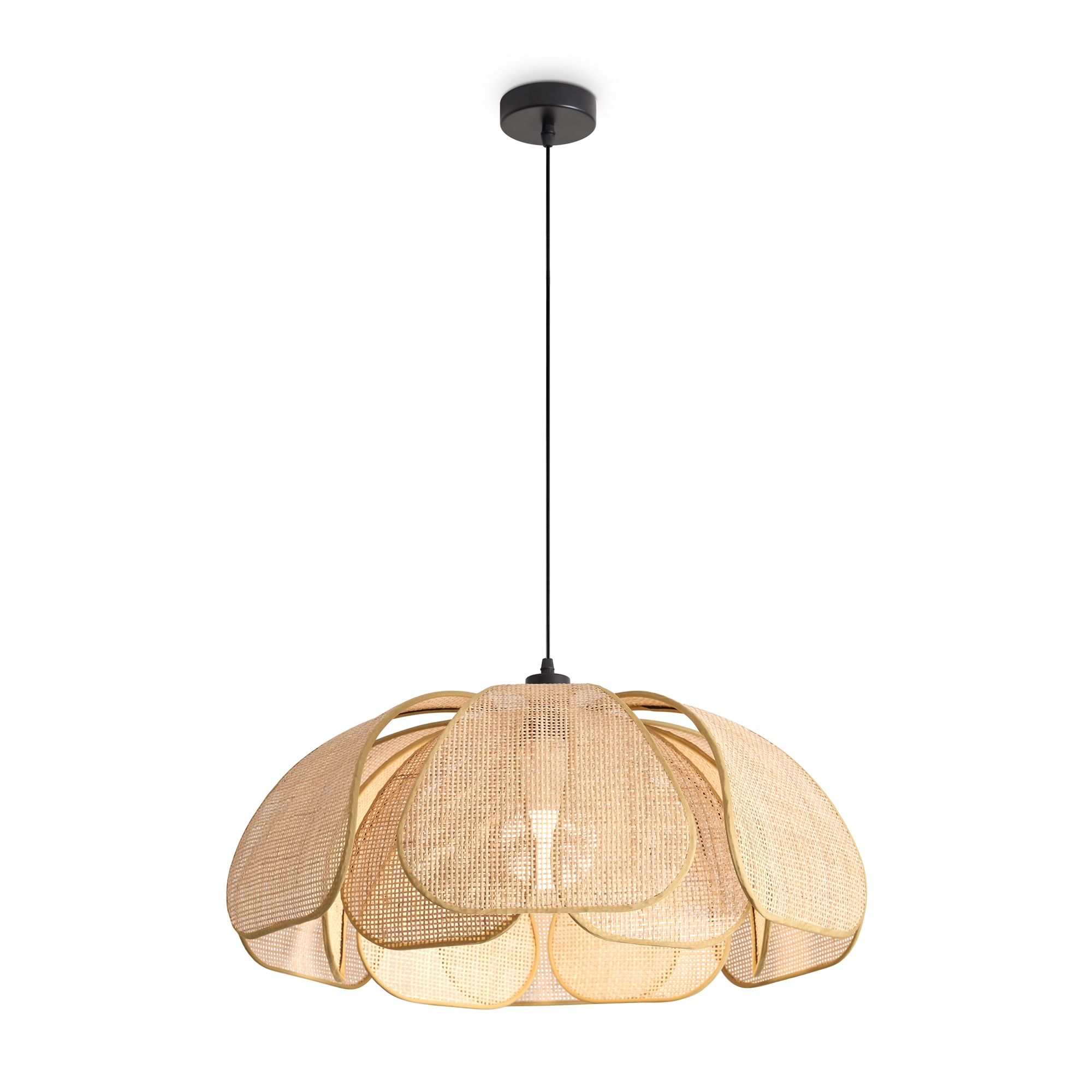 Подвесной светильник Кокон / Cocoon Подвесной светильник Freya FR5529PL-01B