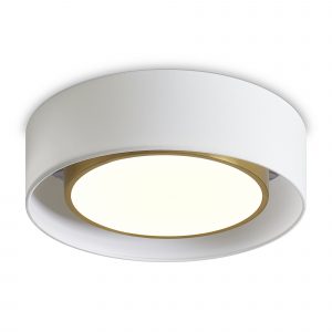 Потолочный светильник Уют / Cozy Потолочный светильник Freya FR6170CL-L52BS