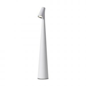 Настольный светильник Ракушка / Clam Настольный светильник Freya FR6188TL-L3W