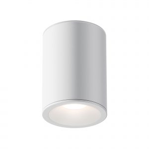 Потолочный светильник Зум / Zoom 1*GU10 10 Вт IP 54 Потолочный светильник Technical C029CL-01W