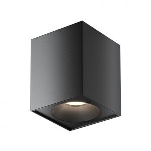 Потолочный светильник Зум / Zoom 1*GU10 10 Вт IP 54 Потолочный светильник Technical C030CL-01B