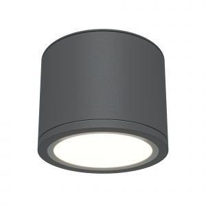Потолочный светильник Рэндо / Rendo 1*GX53 12 Вт IP 44 Потолочный светильник Technical C095CL-GX53-GR