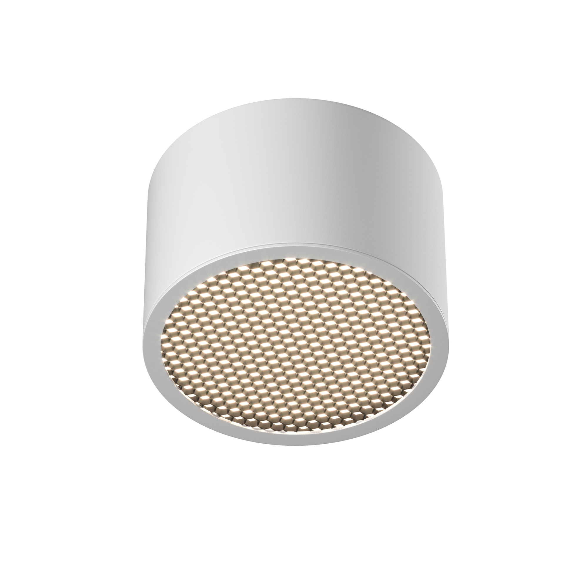 Потолочный светильник Блик / Glare 1*GX53 12 Вт Потолочный светильник Technical C122CL-GX53-W