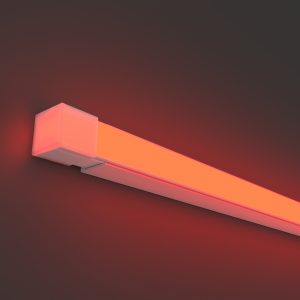 4Вт/м Цветной (RGB) IP67 5м Гибкий неон Led Strip 432024