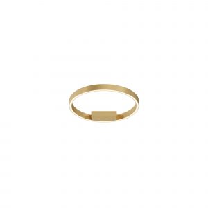 Потолочный светильник Рим / Rim 2600-3500К 24Вт Потолочный светильник Maytoni MOD058CL-L25BSK