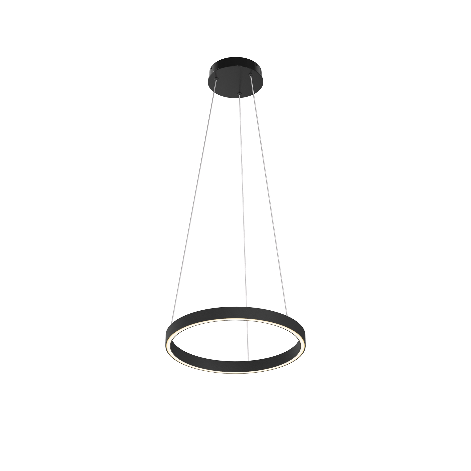 Подвесной светильник Рим / Rim 3000-4000К 24Вт Подвесной светильник Maytoni MOD058PL-L22BK