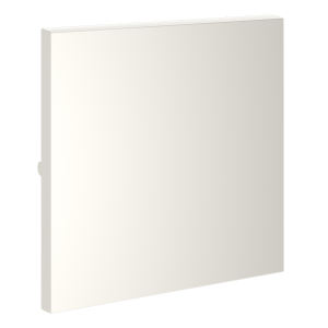 Клавиша для выключателя/переключателя одноклавишного