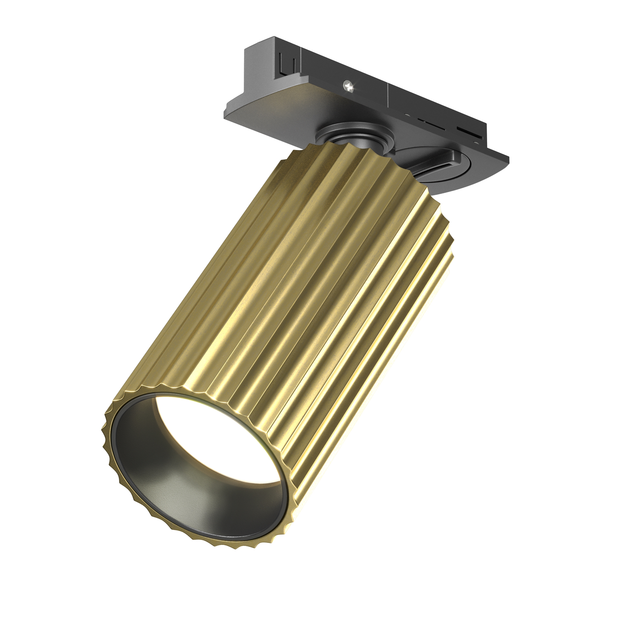 Трековый светильник Калипсо / Calipso Unity GU10 Трековый светильник Technical TR218-1-GU10-BS