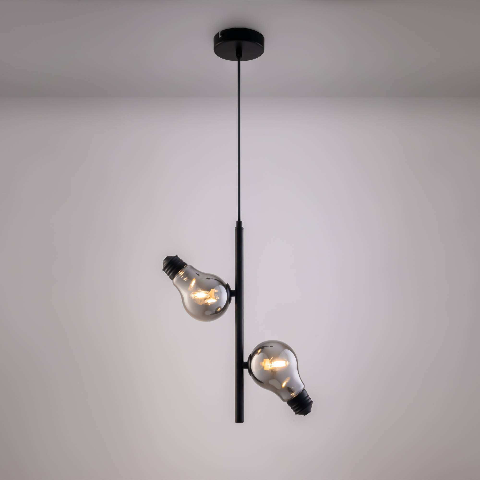 Подвесной светильник Доказательство / Evidence Подвесной светильник Freya FR5372PL-02B — изображение 4