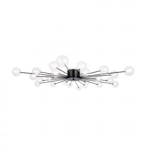 Потолочный светильник Знаменитость / Celebrity Потолочный светильник Freya FR5242CL-24B1