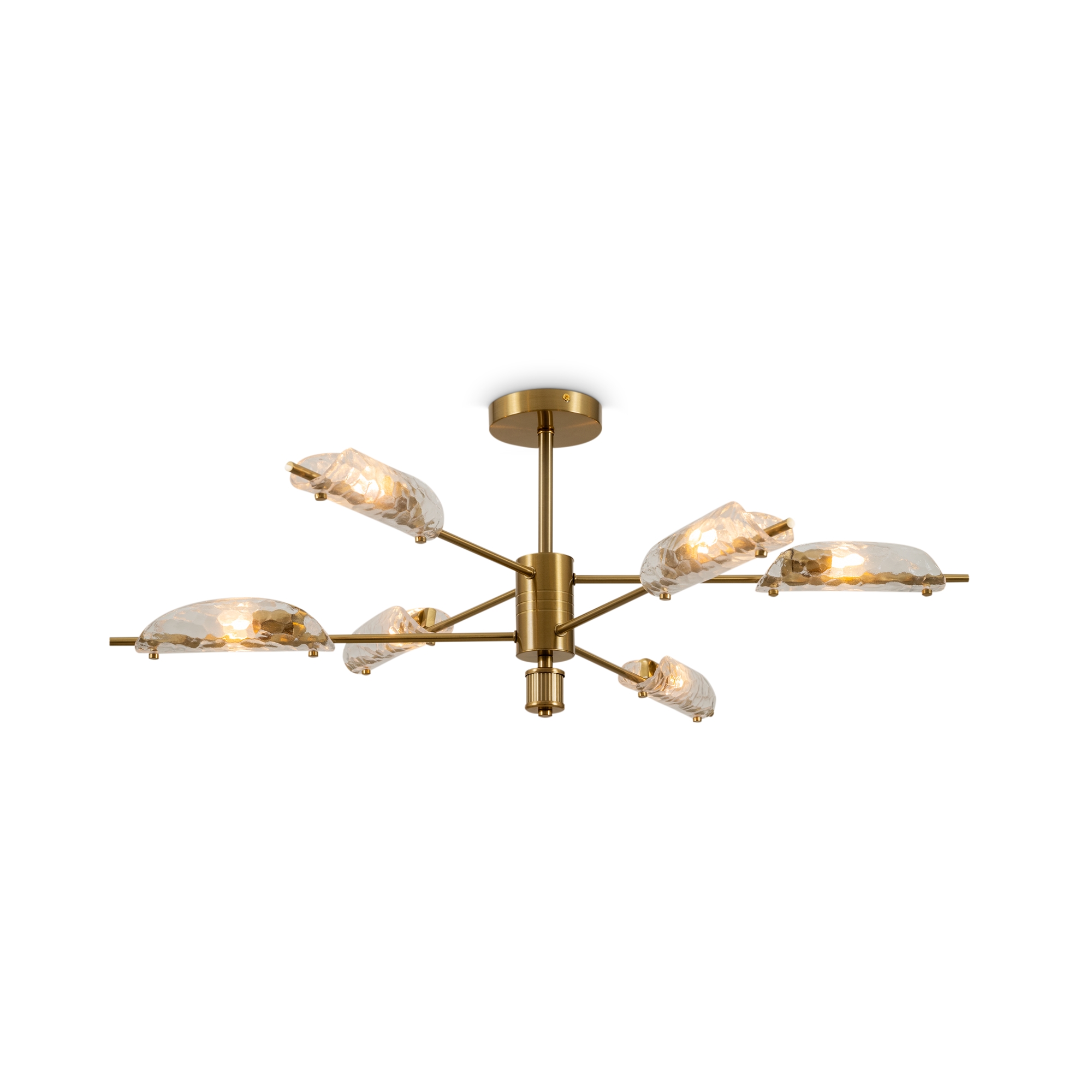 Потолочный светильник Баррет / Baret Потолочный светильник Freya FR5420CL-06BS