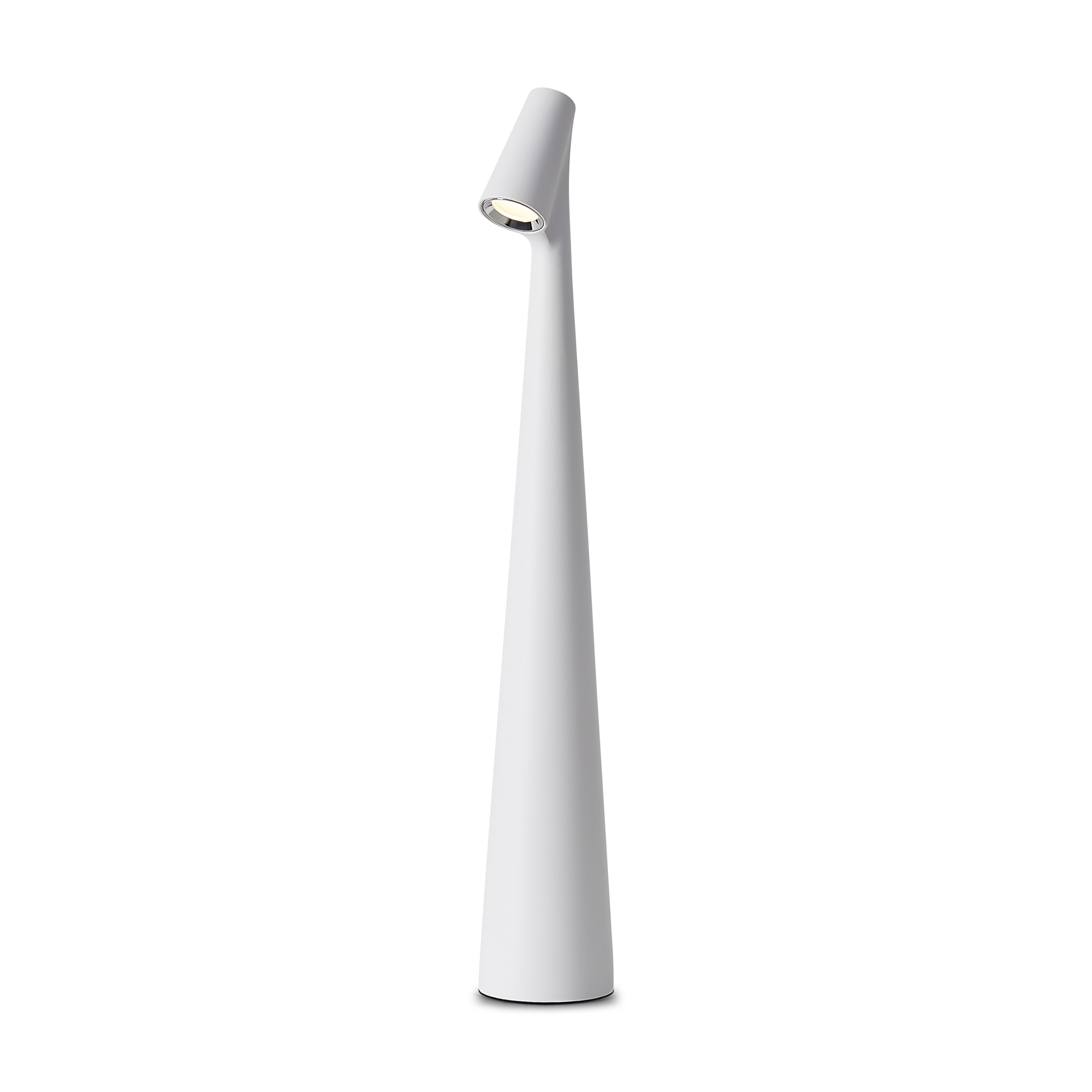 Настольный светильник Ракушка / Clam Настольный светильник Freya FR6188TL-L3W