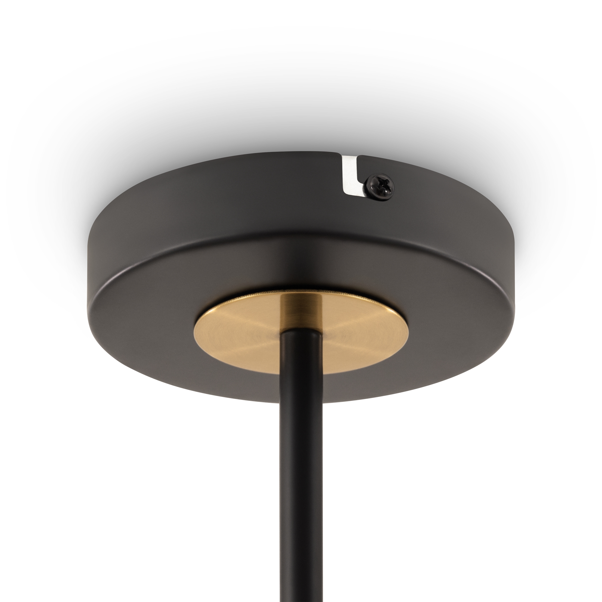 Потолочный светильник Колпак / Hats Потолочный светильник Freya FR5370CL-04B — изображение 2
