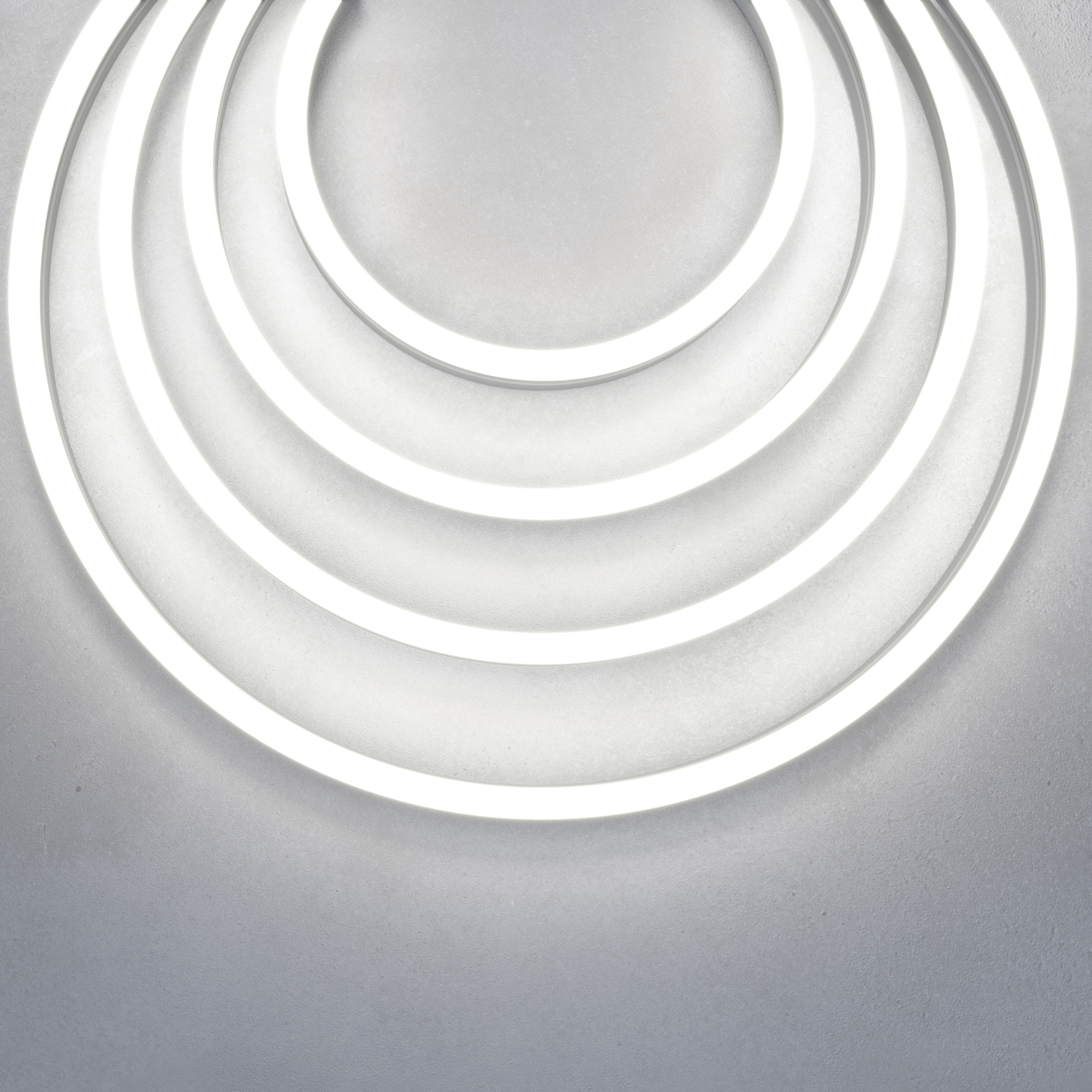 Гибкий неон 1708 24В 9,6Вт/м 6000K IP67 5м Гибкий неон Led Strip 200491 — изображение 3