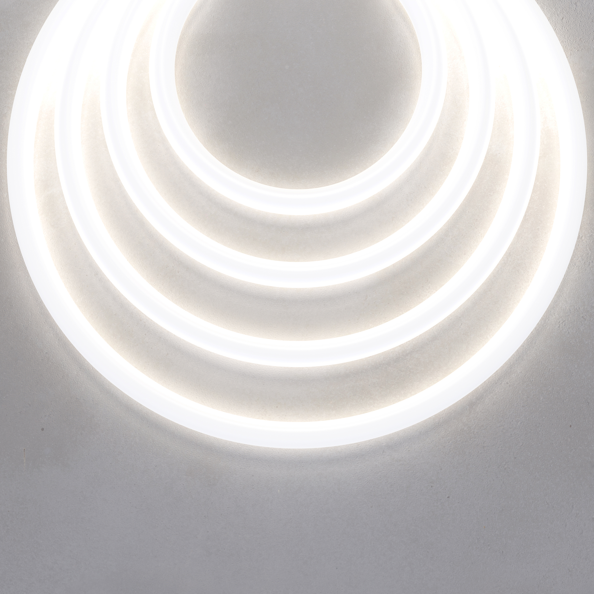 Гибкий неон D22 24В 16Вт/м 4000K IP67 5м Гибкий неон Led Strip 200891 — изображение 3