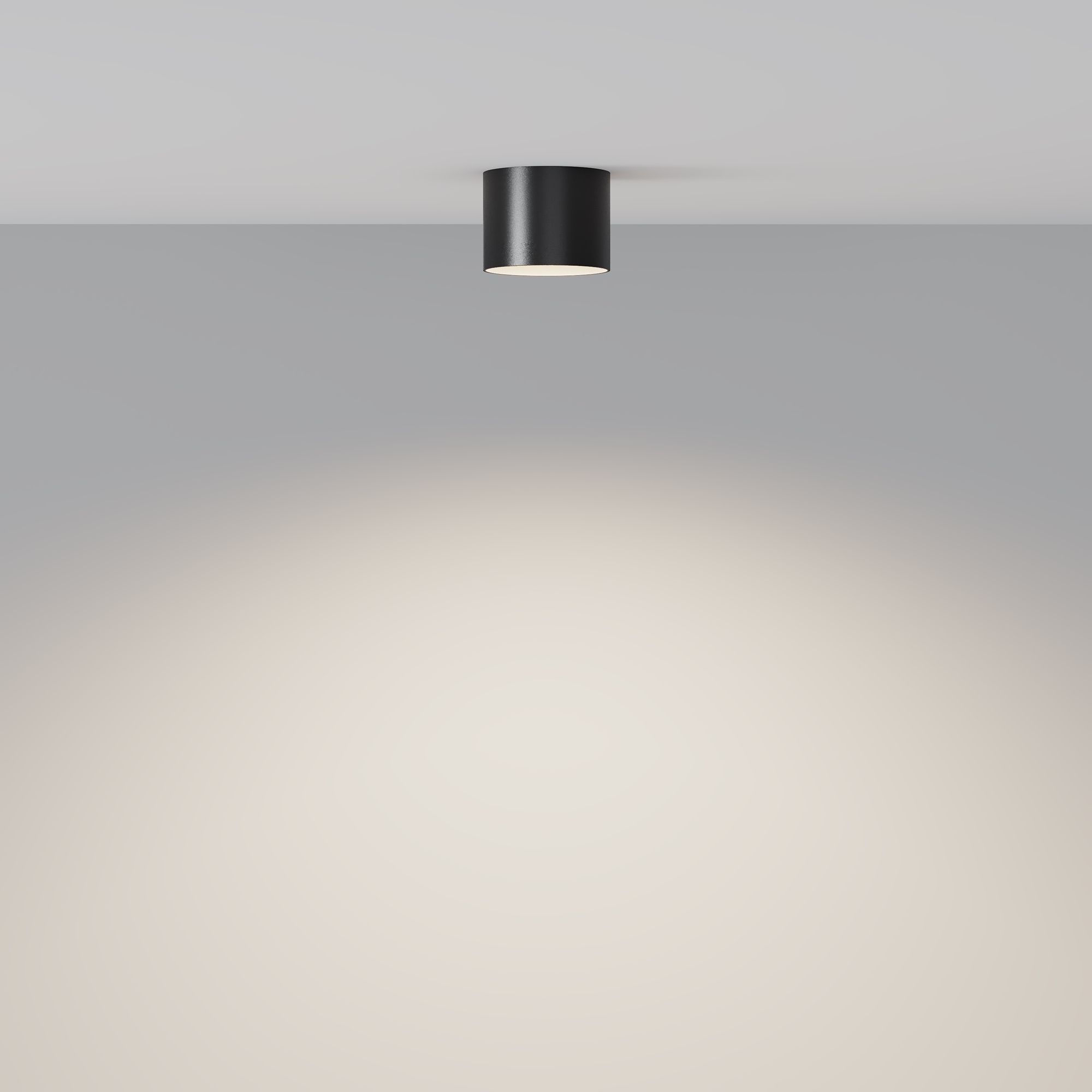 Потолочный светильник Глэм / Glam 1*GX53 12 Вт Потолочный светильник Technical C096CL-GX53-B — изображение 3
