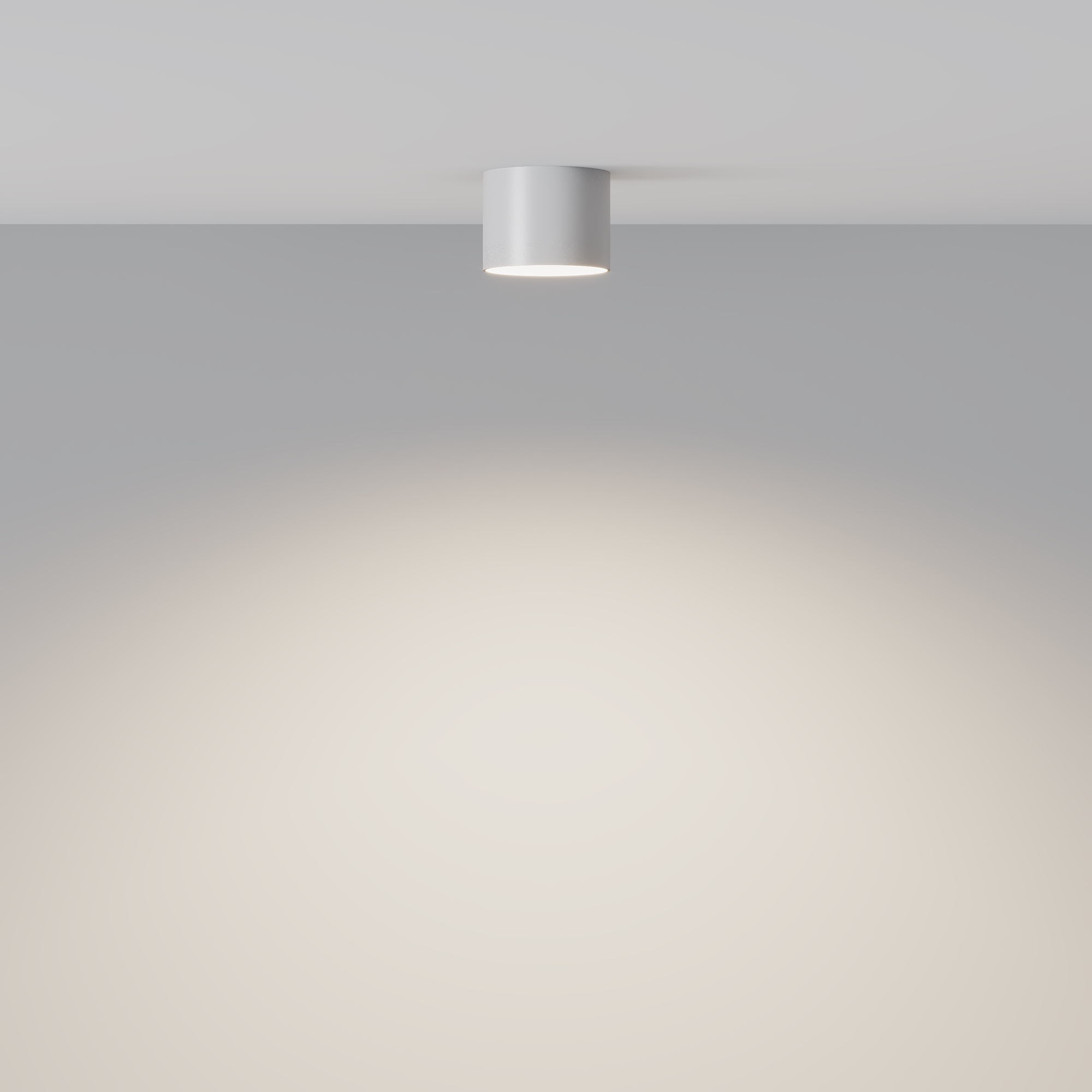 Потолочный светильник Глэм / Glam 1*GX53 12 Вт Потолочный светильник Technical C096CL-GX53-W — изображение 3