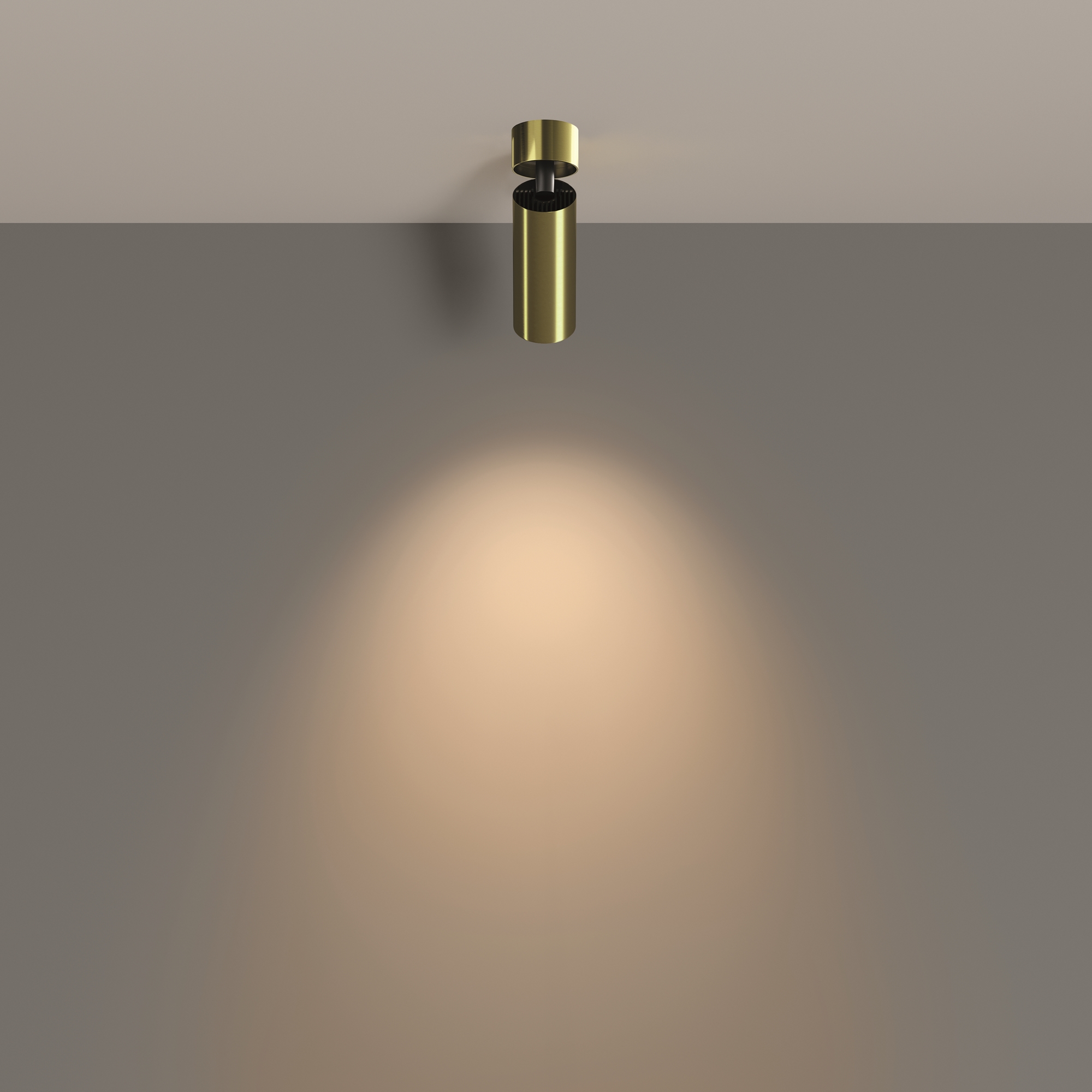Потолочный светильник Фокус / FOCUS LED 12 Вт 3000 К 50° Потолочный светильник Technical C055CL-L12W3K-W-BS — изображение 4