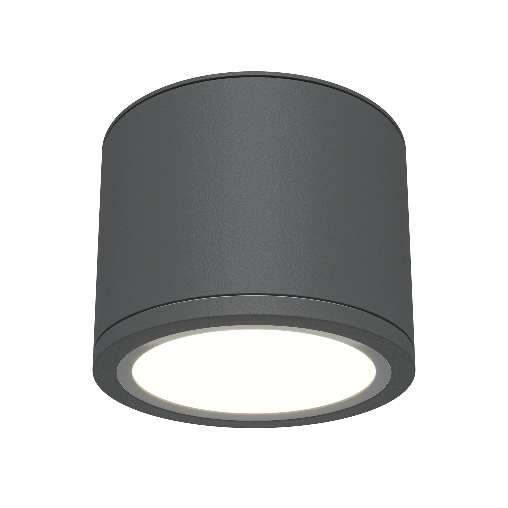 Потолочный светильник Рэндо / Rendo 1*GX53 12 Вт IP 44 Потолочный светильник Technical C095CL-GX53-GR