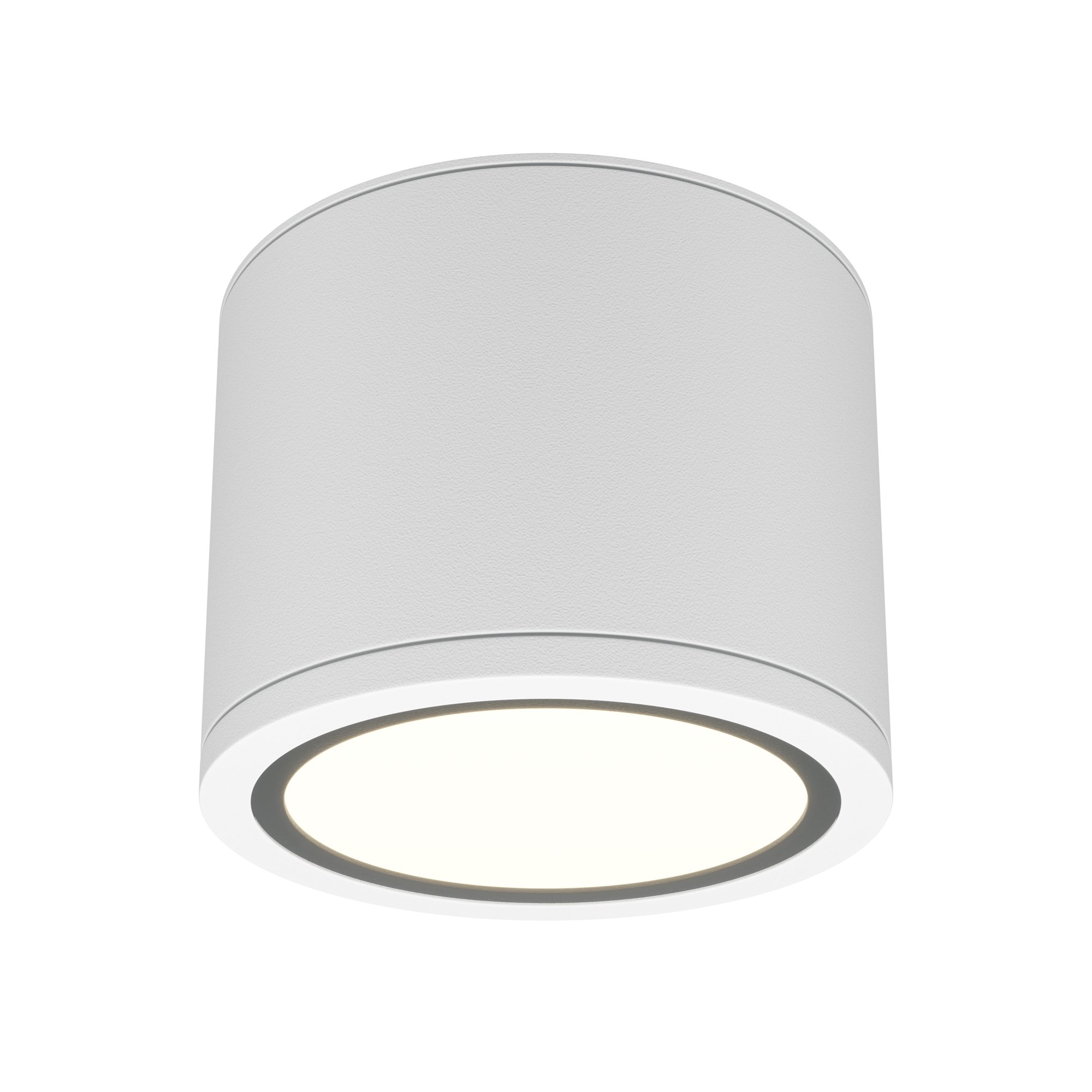 Потолочный светильник Рэндо / Rendo 1*GX53 12 Вт IP 44 Потолочный светильник Technical C095CL-GX53-W
