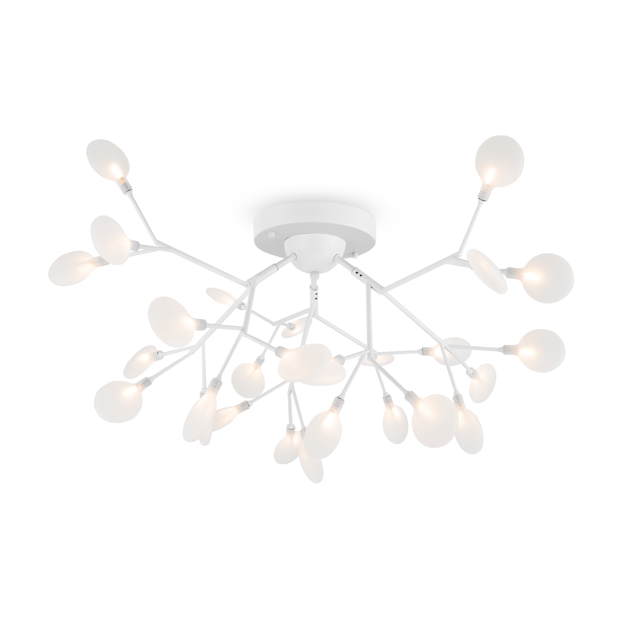 Потолочный светильник Флоренсия / Florencia Потолочный светильник Freya FR5049CL-27W2