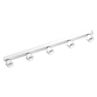 Накладной поворотный светодиодный светильник Ledron SAGITONY E5 S75 White Dim 4000K