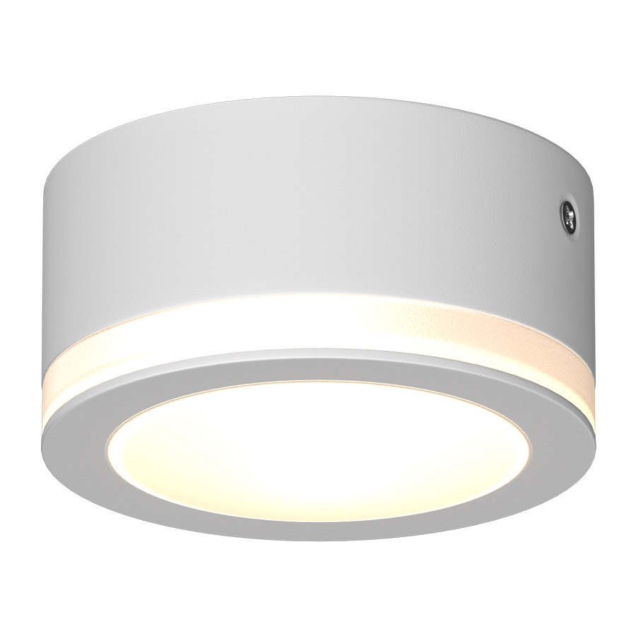 Накладной светодиодный светильник Ledron SDL06-R80-3100K White — изображение 2