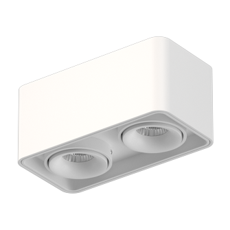 Накладной поворотный светодиодный светильник Ledron TUBING 2 White